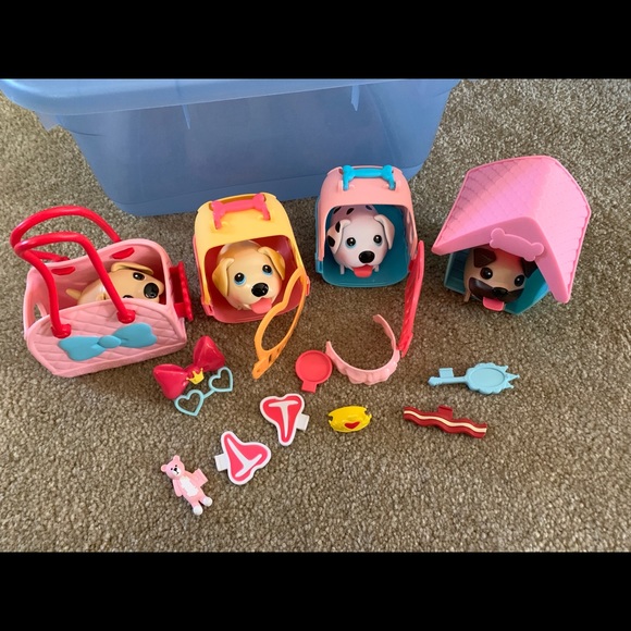 Chubby puppies - Picture 4 of 4